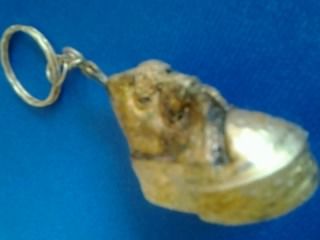 Chaveiro mini-tênis Banhado a Ouro